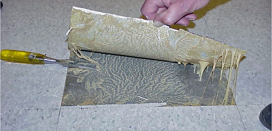 moisture ruining glue under flooring