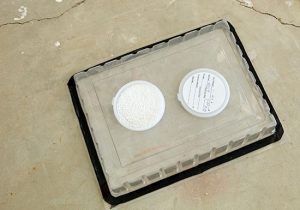 surface-based concrete moisture testing