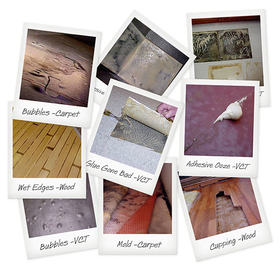 moisture-related concrete flooring failures
